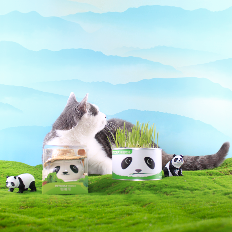 欢迎来到"熊猫牧场"，快跟着熊猫一起种草吧！